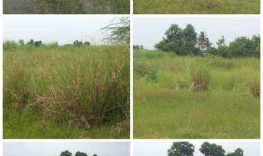 அ.தி.மு.க.பிரதர்ஸின் அடாவடி!