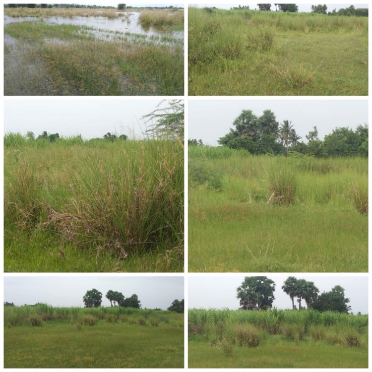 அ.தி.மு.க.பிரதர்ஸின் அடாவடி!