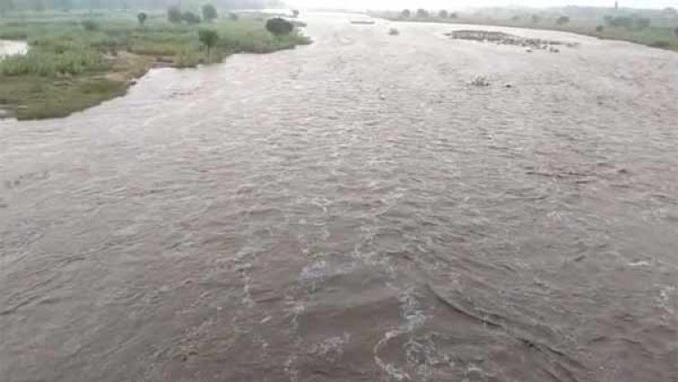 பாலாற்றில் புரண்டோடும் வெள்ளம்!