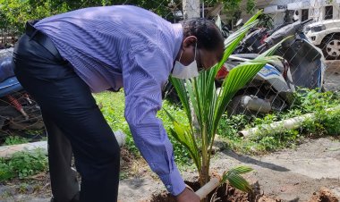 மதுவிலக்கு பிரிவு சார்பில் 10 ஆயிரம் மரக்கன்றுகள் நடப்பட்டன!