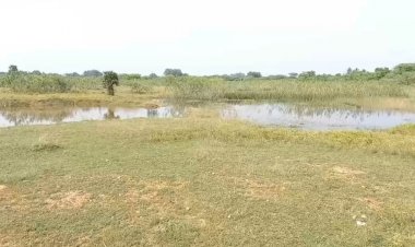 ஏரி கால்வாயை சீரமைங்க ஆபிசர்!