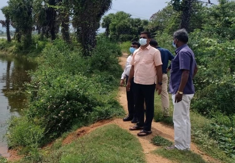 நீர் நிரம்பிய ஏரிகளை பார்வையிட்ட வேலூர் ஆட்சியர்!
