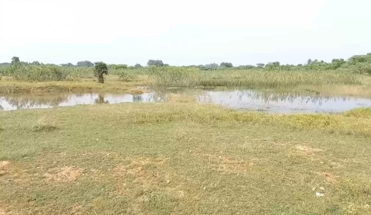 ஏரி கால்வாயை சீரமைங்க ஆபிசர்!