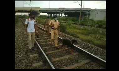 வாணியம்பாடி சரக்கு ரயிலில் கொள்ளை முயற்சியா?