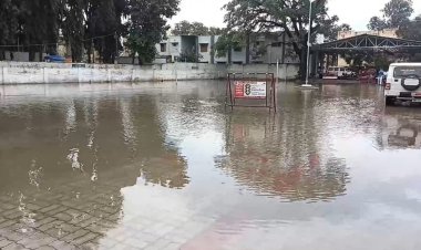 கலெக்டர் அரங்கமே இந்த லட்சணத்தில் இருக்கு?இப்ப டெங்கு வராதா?