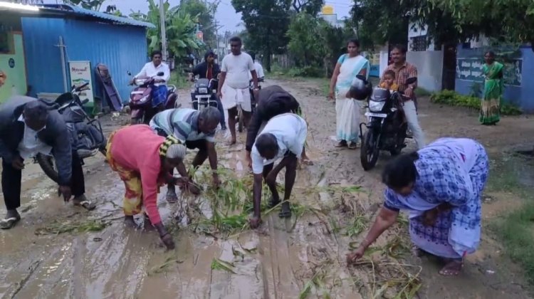 சாலையில் பயிர் செய்யும் மக்கள்!