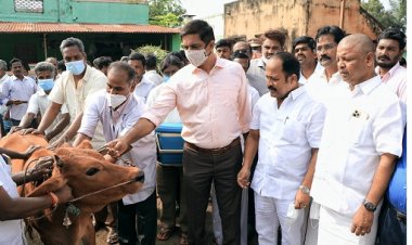 கால்நடைகள் விவசாயிகளின் சொத்து! ஏ.பி.நந்தகுமார் எம். எல் .ஏ.தகவல்!!