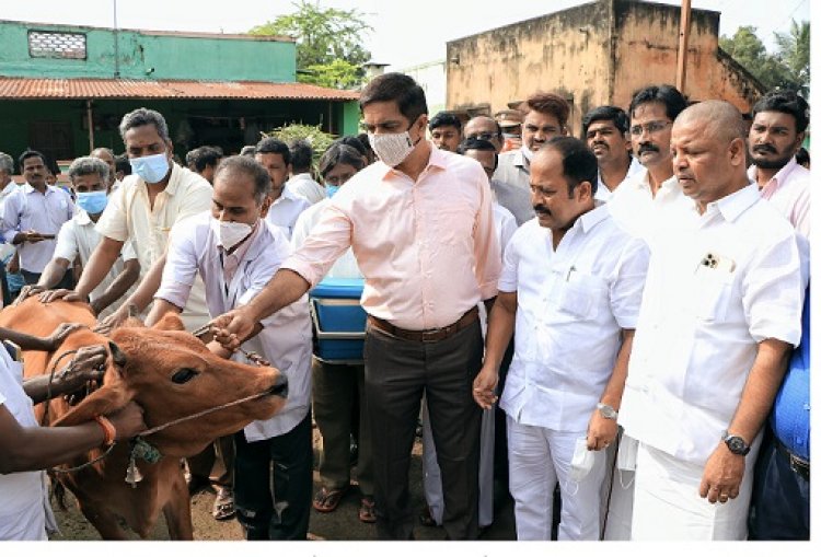 கால்நடைகள் விவசாயிகளின் சொத்து! ஏ.பி.நந்தகுமார் எம். எல் .ஏ.தகவல்!!