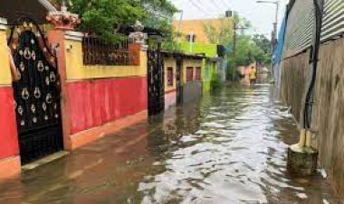 சென்னை வெள்ளத்தை தடுக்க புதிய ஐடியா! வல்லுநர் குழு!