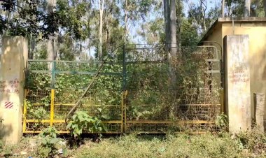 குடிகாரர்களின் கூடாரமாக மாறிய  டெலஸ்கோப்  பார்வை மையம்! வேடிக்கை பார்க்கும் வனத்துறை!