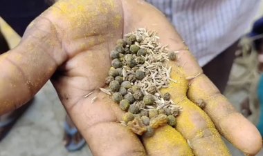 பொங்கல் தொகுப்பு சர்ச்சை! தமிழ்நாட்டு நிறுவனங்கள் ஒப்பந்தப் புள்ளியில் கலந்து கொண்டதா? ஓ.பி.எஸ். அறிக்கை!