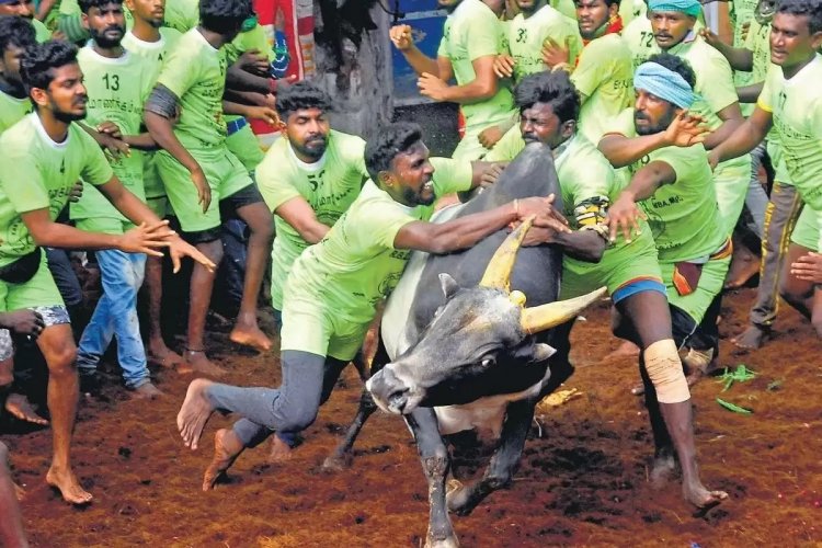 ஜல்லிக்கட்டு போட்டி நடந்தே தீரும்:- தமிழக அரசு வெளியிட்ட அரசாணை! முகூர்த்தகால் நட்டு குஷி!