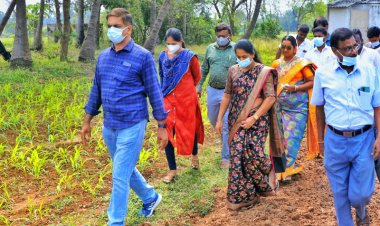 கால்நடைகளுக்கான சிறப்பு மருத்துவ முகாம்:-அனைத்து ஊராட்சிகளிலும்  நடத்திட ஆட்சியர் அறிவுரை!