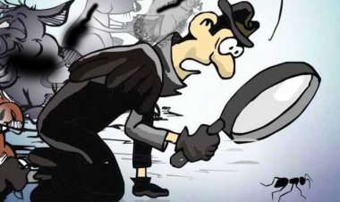 உள்ளாட்சி தேர்தலில் யாருக்கு அடிசறுக்கும்?