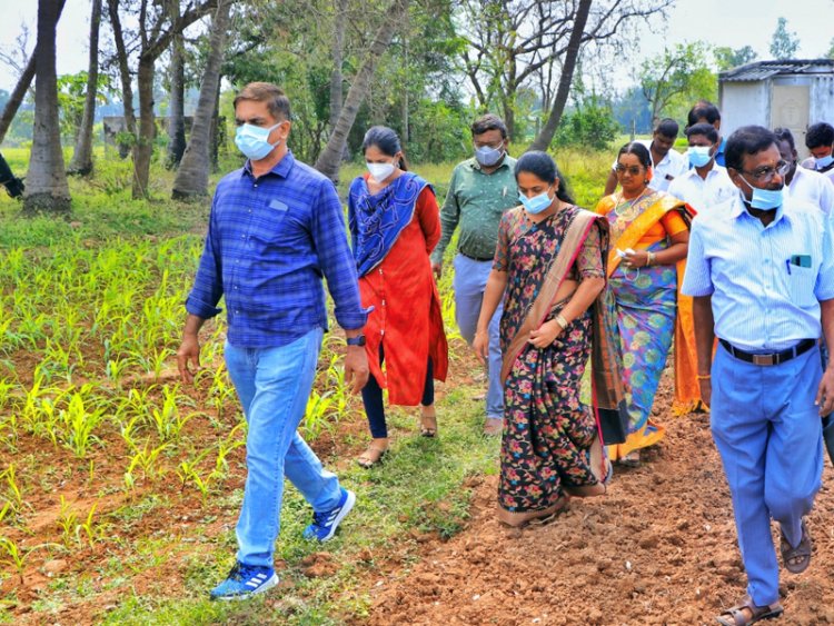 கால்நடைகளுக்கான சிறப்பு மருத்துவ முகாம்:-அனைத்து ஊராட்சிகளிலும் நடத்திட ஆட்சியர் அறிவுரை!