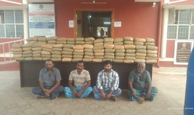 திருமங்கலம் மற்றும் காட்பாடியில் 375 கிலோ கஞ்சா பிடிபட்டது!