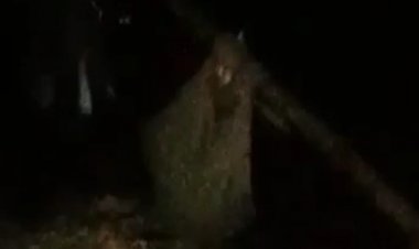 தூளிகட்டி ஆஸ்பத்திரிக்கு தூக்கிச் செல்லும் கொடுமை!