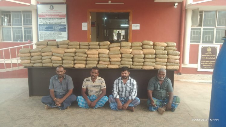 திருமங்கலம் மற்றும் காட்பாடியில் 375 கிலோ கஞ்சா பிடிபட்டது!