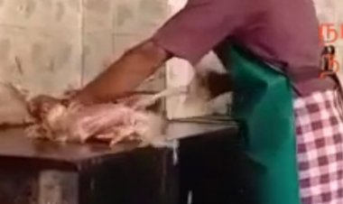 கோழியை உயிருடன் உரித்து கொலை செய்த வாலிபர் கைது!