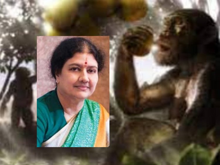 சின்னம்மா? யாரும்மா அந்த குரங்கு! சசிகலாவின் கதையும் உட்கருத்தும்!