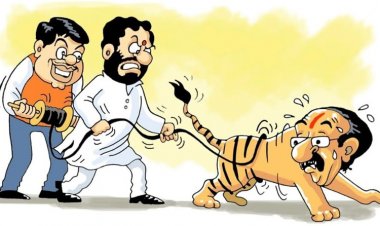 சிவசேனாவின் ஜிப்பாவை  உருவும் மகாராஷ்டிர பா.ஜ.க.?