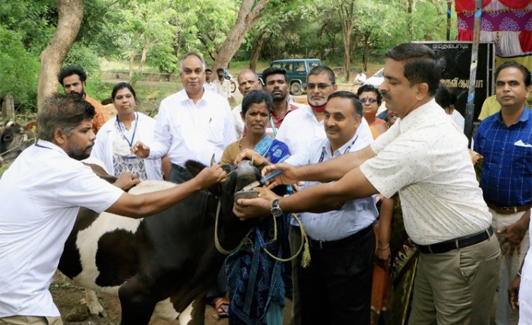 கால்நடைத்துறையில் போலி செயலி:- ஆட்சியர் எச்சரிக்கை!