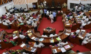 ஒட்டு போட்ட ஆண் சட்டை அணிந்து பெண்கவுன்சிலர் கலக்கல்!