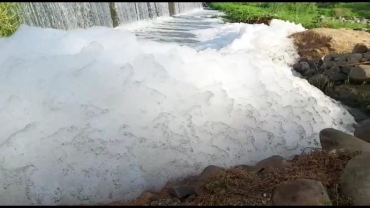 தோல் கழிவு நீரால் பாழாய் போகும் பாலாறு!