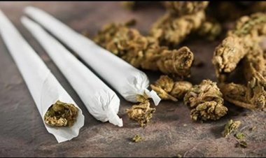 கஞ்சா விற்க பயன்படும் சிறுவர்கள்! 3 பேர் மீது வழக்கு!