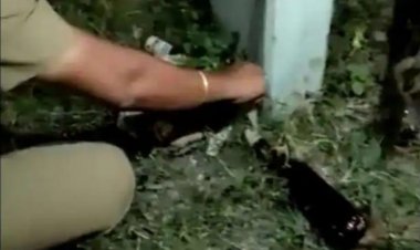 தொடர் பெட்ரோல் பாம் வீச்சு:- கோவைக்கு புதிய உளவு அதிகாரி! டிஜிபி நியமித்தார்!!