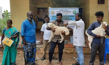 நாய்கள் சித்ரவதையும்-பராமரிப்பும்- உலக வெறிநோய் தடுப்பு தினமாம்!