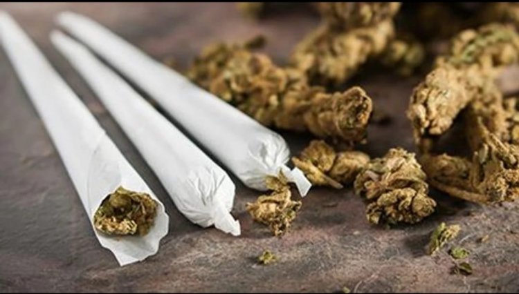 கஞ்சா விற்க பயன்படும் சிறுவர்கள்! 3 பேர் மீது வழக்கு!