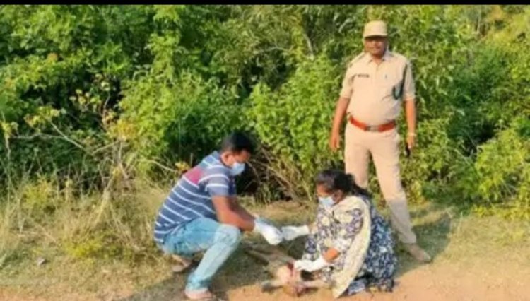 மருத்துவ பரிசோதனைக்காக குரங்குகளை கொத்தாக கொலை செய்த பரிதாபம்!