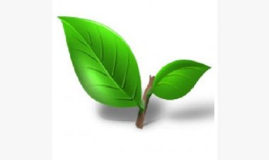 அதிமுக போராட்டம் திடீர் தள்ளிவைப்பு!