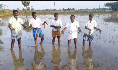 சம்பா சாகுபடி பாதிக்கப்பட்டது:-கூடுதல் நிவாரணம் கேட்டு விவசாயிகள் வெளிநடப்பு!