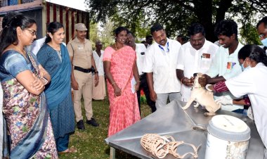 வெறி நோய் தடுப்பு முகாம்! ஆட்சியர் சாருஸ்ரீ தொடங்கி வைத்தார்!