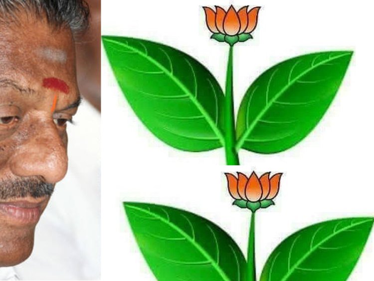 பன்னீரை கண்கலங்க வைத்த பா.ஜ.க.! இனிப்பு கொடுத்து வாக்காளர்கள் கவனிப்பு!