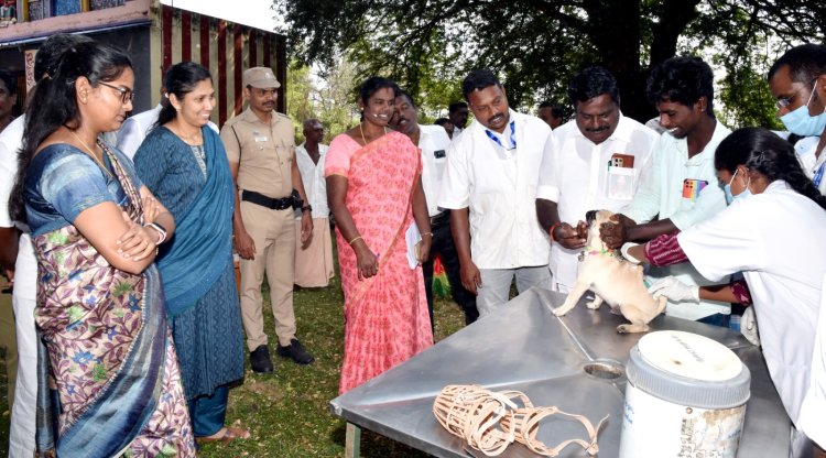 வெறி நோய் தடுப்பு முகாம்! ஆட்சியர் சாருஸ்ரீ தொடங்கி வைத்தார்!