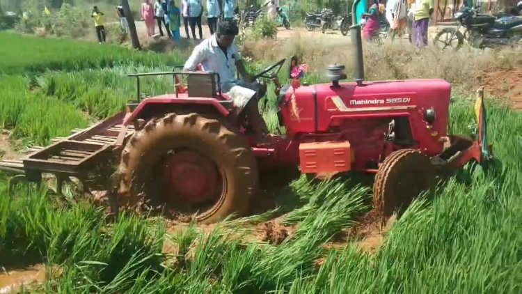 பச்சிளம் பயிரை அழித்த அரக்க அதிகாரிகள்!