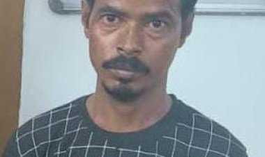 வீட்டுக்குள் கஞ்சா வளர்த்த பீகாரி கைது!