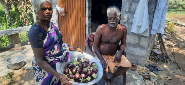 கத்தரிகாயே இல்லாத ஊரின் பெயருக்கு புவிசார் குறியீடா? விளக்கும் செய்தியாளர்!