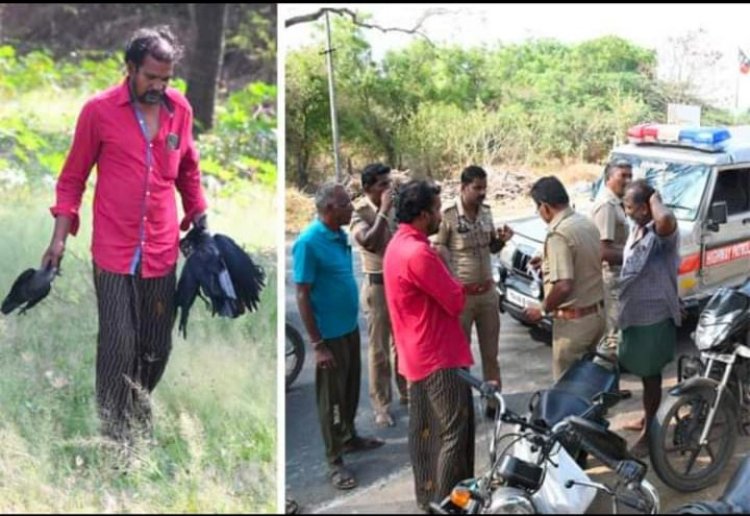 சிக்கன் பிரியாணிக்காக காக்காவை சுட்ட வாலிபர்!