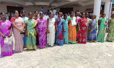 அரசு நிலத்தை மீட்கவும் ஓடையில் பாலம் கட்டி தரவும் கோரிக்கை!