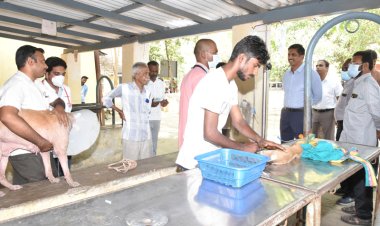 நாய் தலையில் உடைந்த பிளாஸ்டிக் குடம்!  கலெக்டர் முன்னிலையில் அகற்றம்!