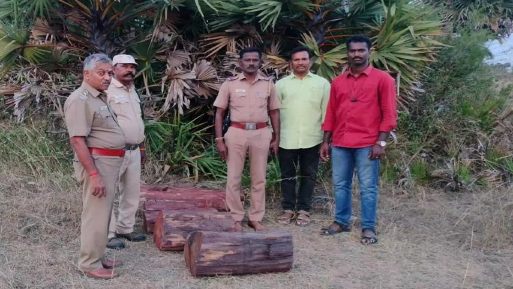 தொண்டு நிறுவனத்தில் செம்மரக்கடைகள் பதுக்கல்!
