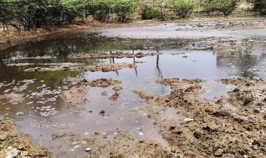 தோல் கழிவு நீரினை நிலத்தில் தேக்கிய தொழிற்சாலையின் மின் இணைப்பு துண்டிப்பு -மாவட்ட ஆட்சியர் அதிரடி!