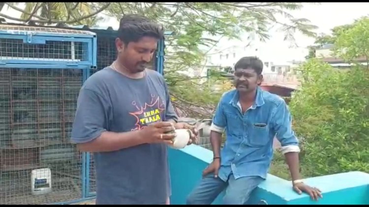 ஆயிரம் கிலோ மீட்டர் பறந்து வந்த புறா!