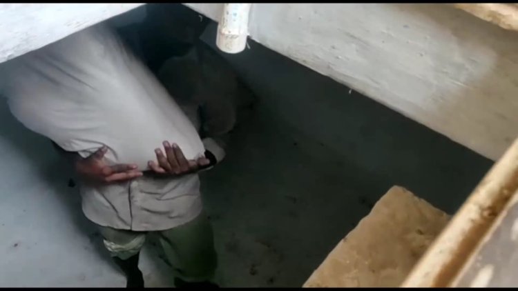 பாதாள அறையில் பதுக்கப்பட்ட கறுப்பு வெல்லம்! கள்ளசாராய வியாபாரிகளுக்கு சப்ளை!