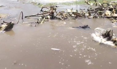 பைப்லைன் உடைந்து சாலையில் ஓடும் குடிநீர்!