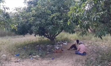 மாந்தோப்பில் குடிகாரர்கள்! கத்தியை காட்டி விவசாயியை மிரட்ட்டல்!